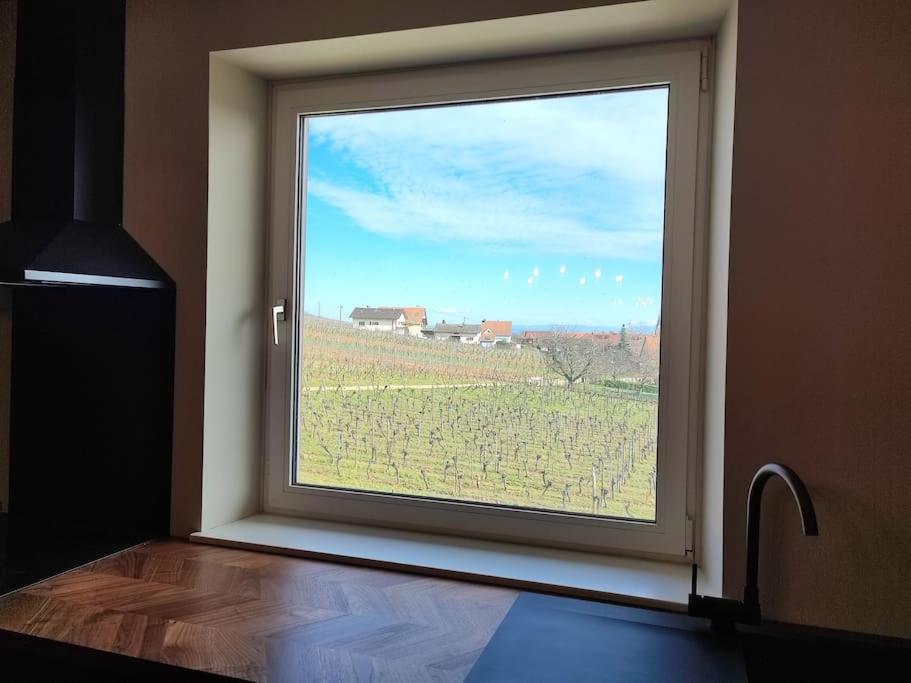 Apartmán Vue Splendide Au Coeur Des Vignes Bergheim Exteriér fotografie