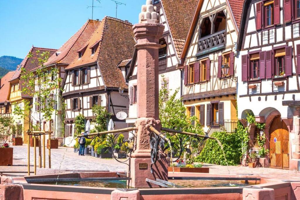 Apartmán Vue Splendide Au Coeur Des Vignes Bergheim Exteriér fotografie