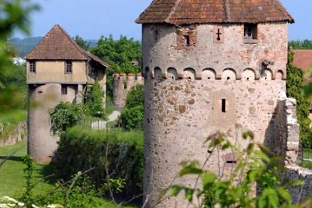 Apartmán Vue Splendide Au Coeur Des Vignes Bergheim Exteriér fotografie